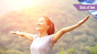 The Joy of Gratitude