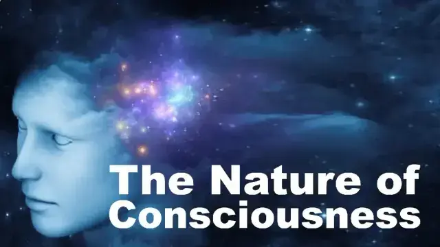The Nature of Consciousness