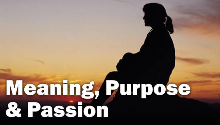 Meaning, Purpose & Passion (Dinner & Discussion)