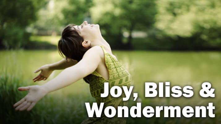 Joy, Bliss & Wonderment